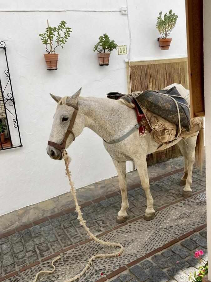 Casa Rural Villa Sila Benalauría Extérieur photo